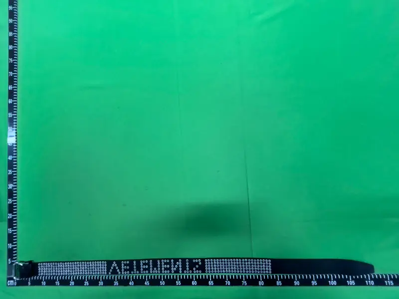 Vetements Studded Spellout Belt QC photo 6