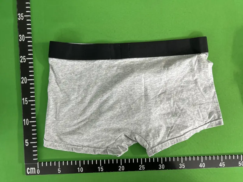 Balenciaga Trunks QC photo 12