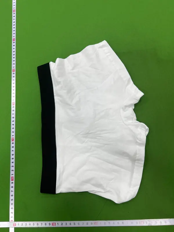 Balenciaga Trunks QC photo 18