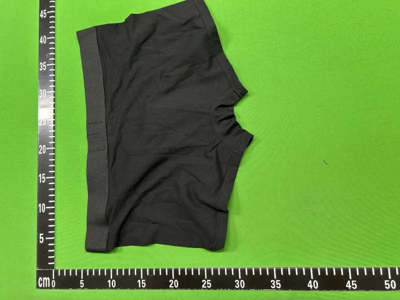 Balenciaga Trunks QC photo 20