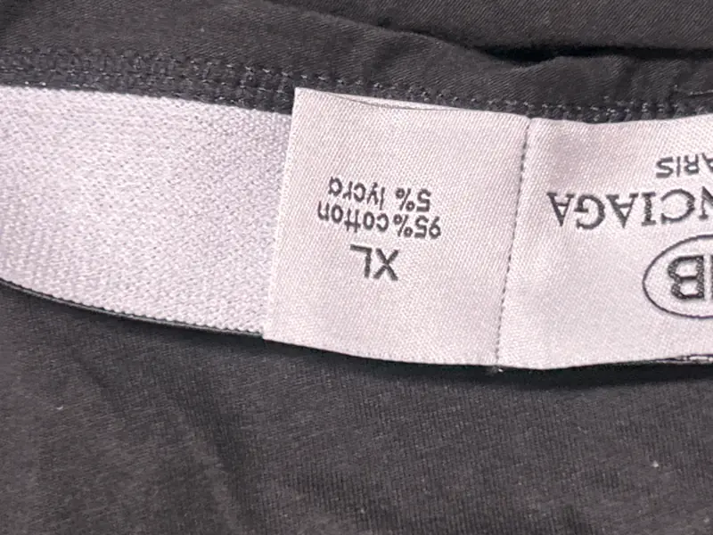 Balenciaga Trunks QC photo 3