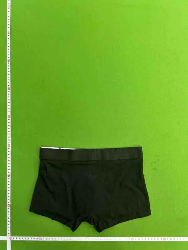 Balenciaga Trunks QC photo 6