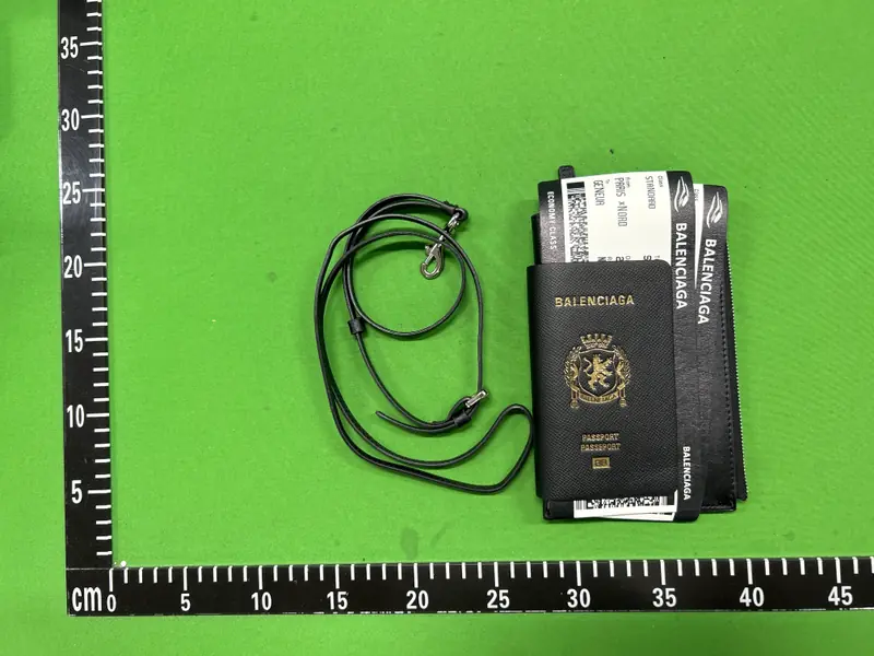 Balenciaga Passport Cover QC photo 12