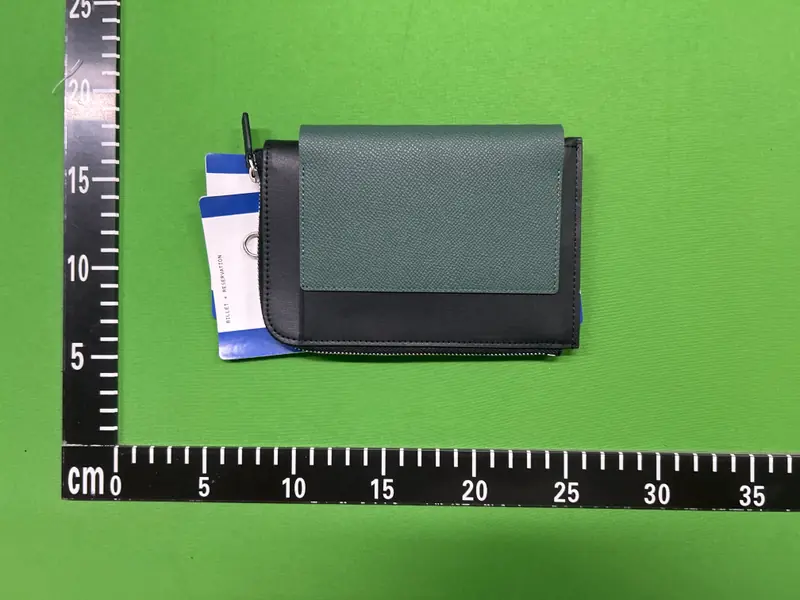 Balenciaga Passport Cover QC photo 8