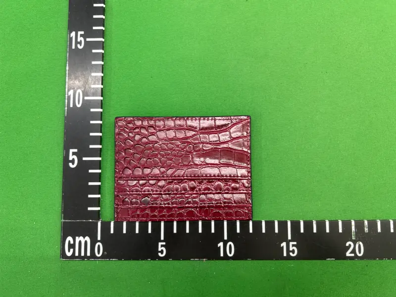 Vivienne Westwood Cardholder QC photo 11