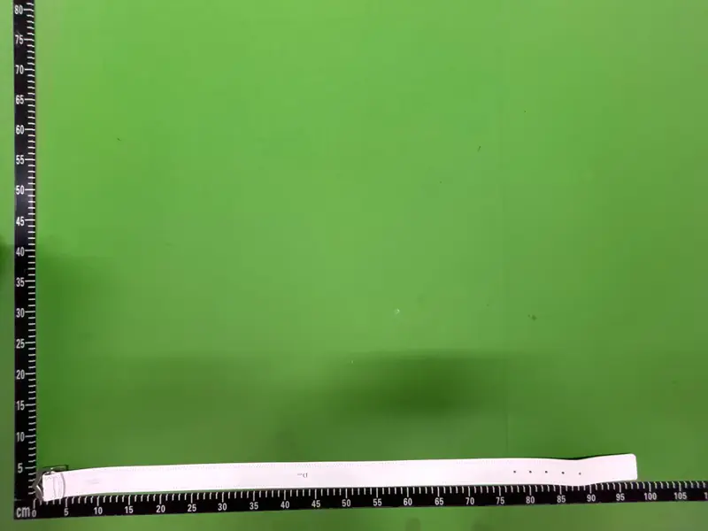 Dior Homme Belt QC photo 8