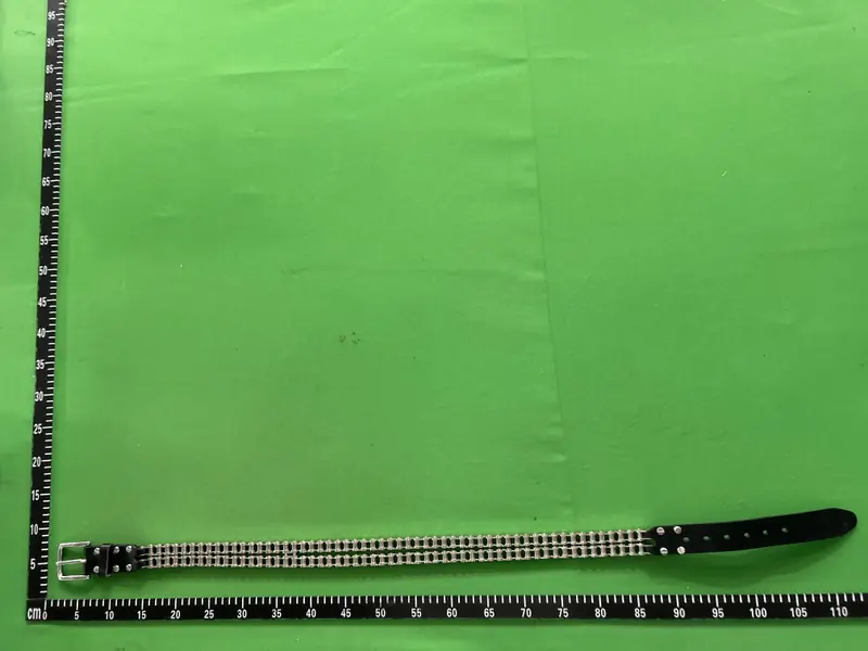 Balmain BikeChain Belt QC photo 1