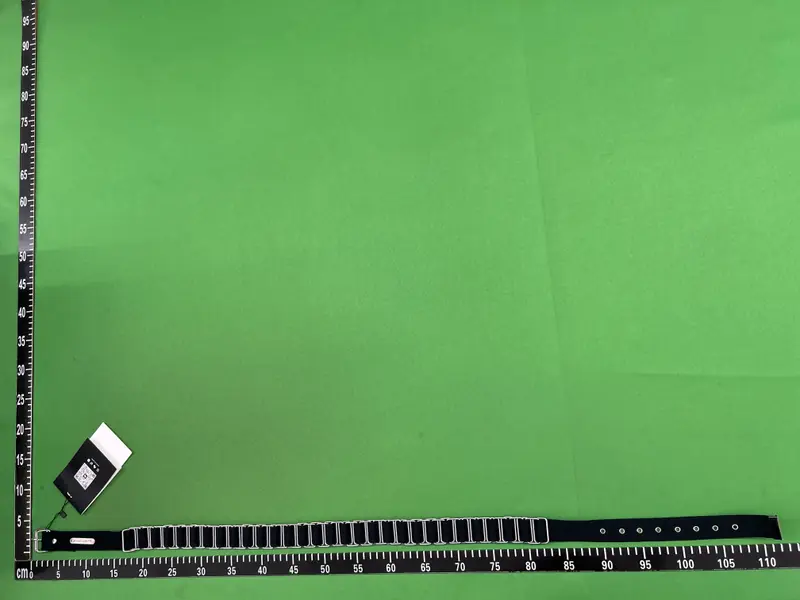 Helmut Lang Belt QC photo 2