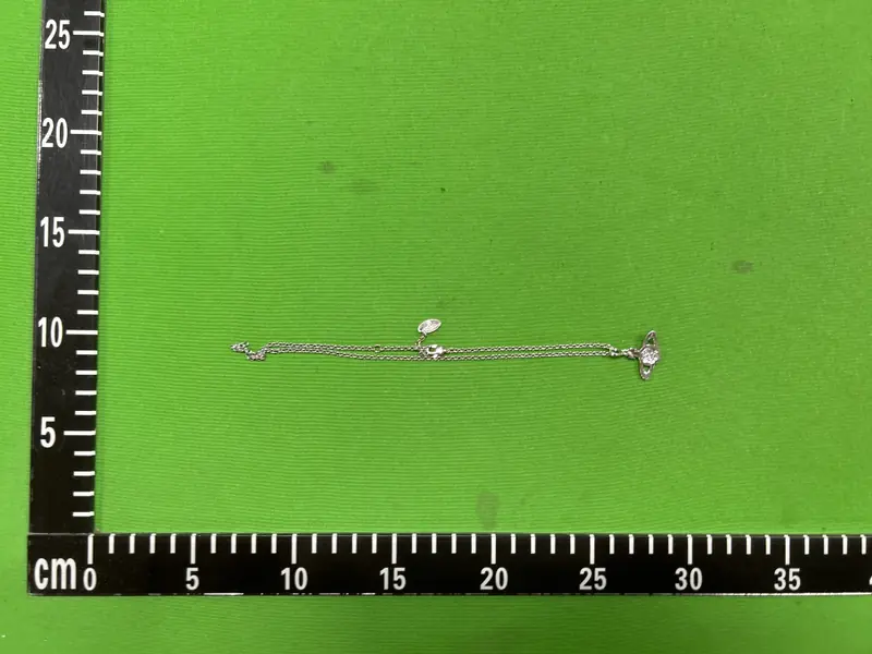 Vivienne Westwood Necklace QC photo 17
