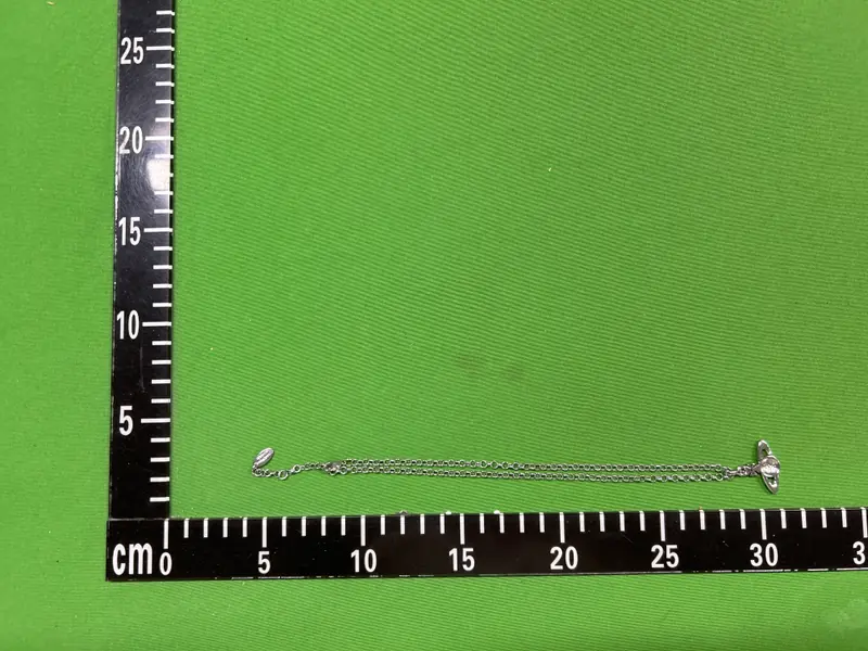 Vivienne Westwood Necklace QC photo 5