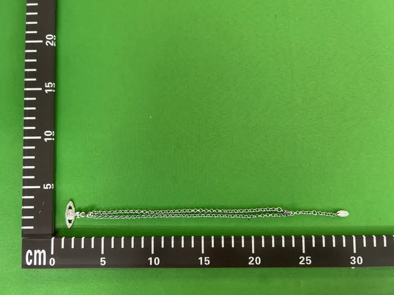 Vivienne Westwood Necklace QC photo 7